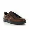 Fluchos Casual Atlas F0298 Marron
